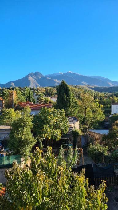 Le Cocon En Coeur De Ville Prades  Exterior foto